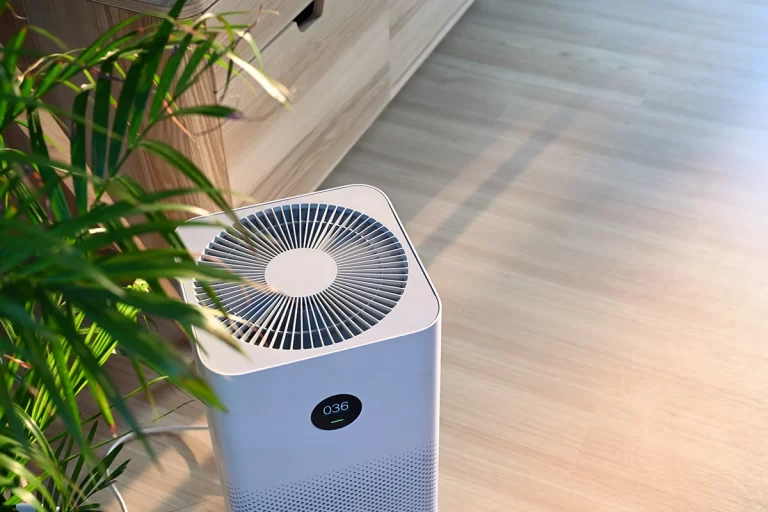 do air purifiers help with mold