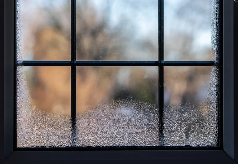 Window condensation showing moisture problems that may require the best whole house dehumidifier for Arizona homes