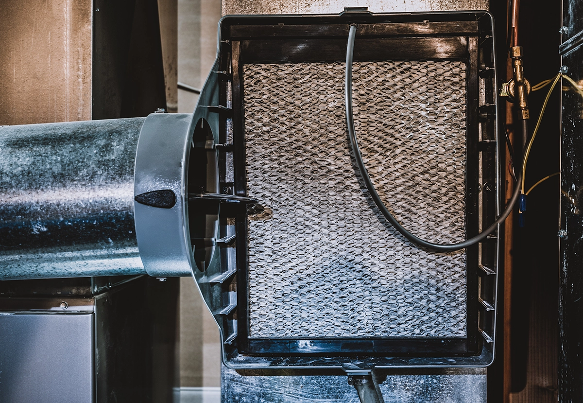 Best Whole House Dehumidifier for Arizona Homes